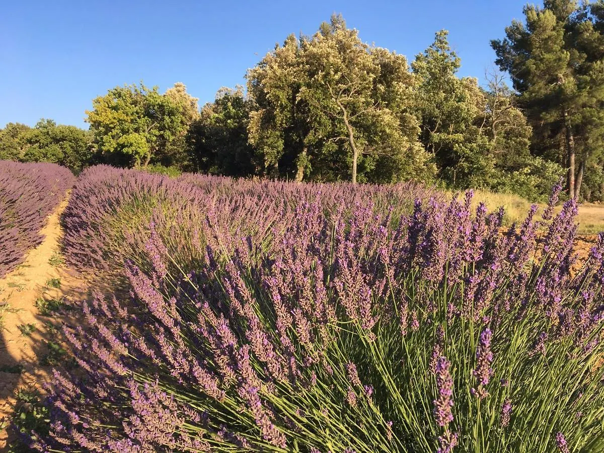 Hébergement de vacances Villa Les Escoulaires à Vinsobres